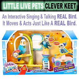 Little Live Pets Clever Keet Review